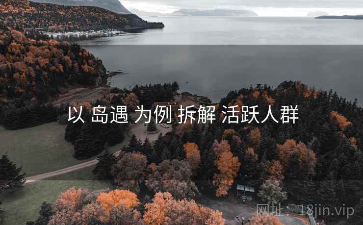 以 岛遇 为例 拆解 活跃人群