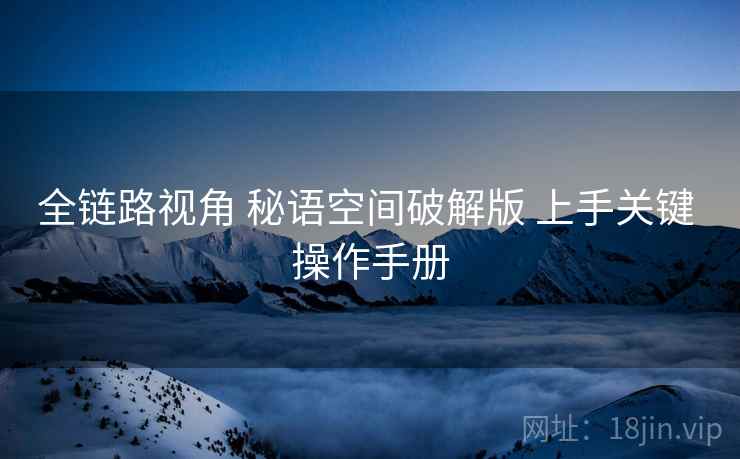 全链路视角 秘语空间破解版 上手关键 操作手册