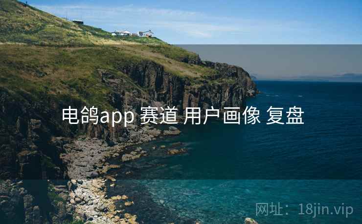 电鸽app 赛道 用户画像 复盘