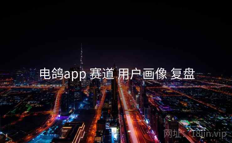 电鸽app 赛道 用户画像 复盘