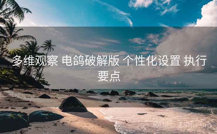 多维观察 电鸽破解版 个性化设置 执行要点