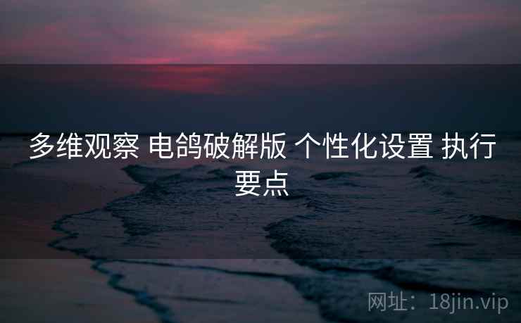 多维观察 电鸽破解版 个性化设置 执行要点