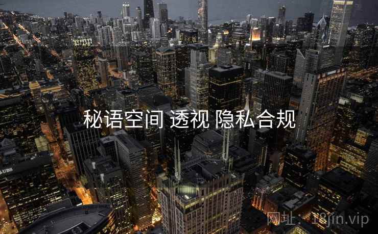 秘语空间 透视 隐私合规