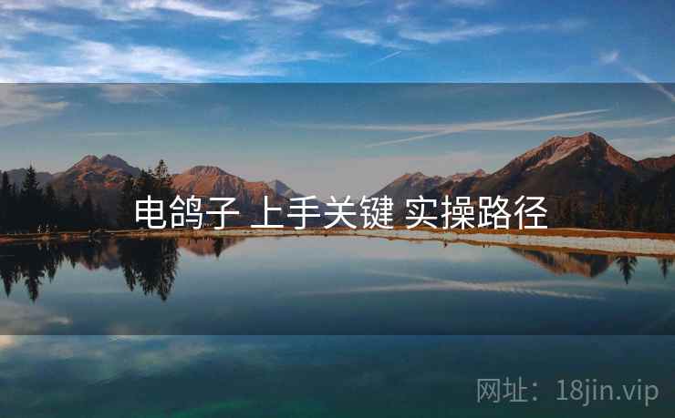 电鸽子 上手关键 实操路径