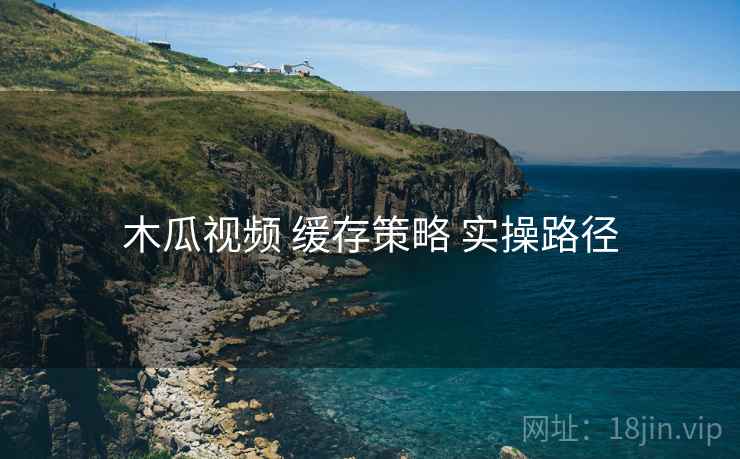 木瓜视频 缓存策略 实操路径