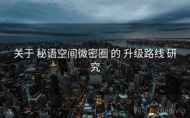 关于 秘语空间微密圈 的 升级路线 研究