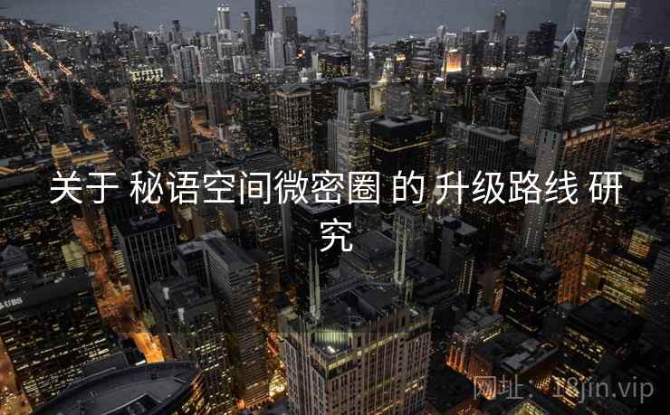 关于 秘语空间微密圈 的 升级路线 研究