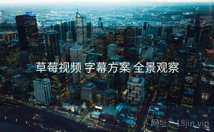 草莓视频 字幕方案 全景观察