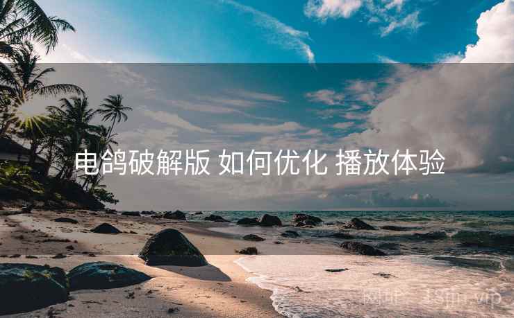 电鸽破解版 如何优化 播放体验