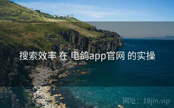 搜索效率 在 电鸽app官网 的实操