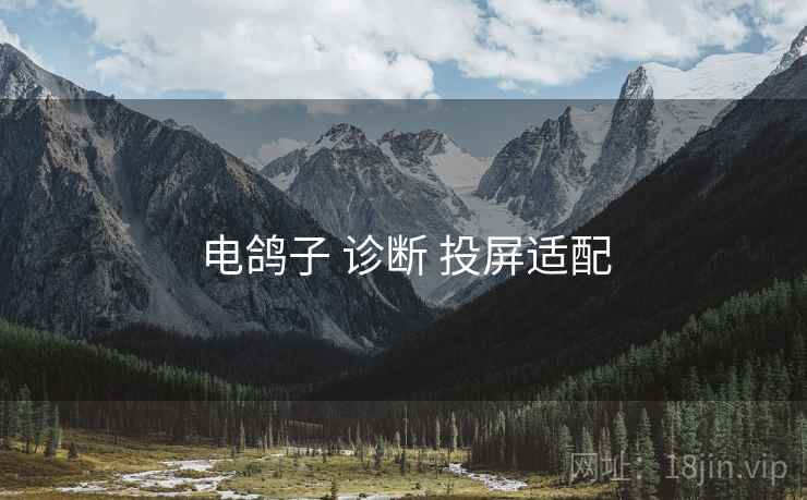 电鸽子 诊断 投屏适配