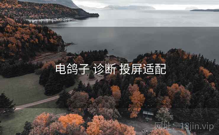电鸽子 诊断 投屏适配