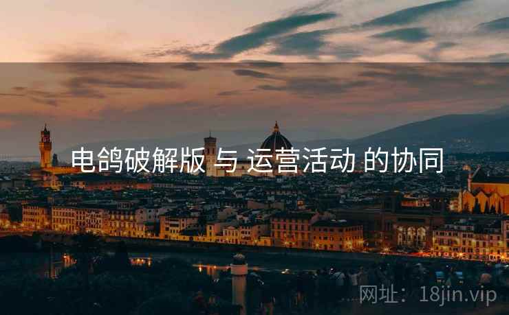电鸽破解版 与 运营活动 的协同