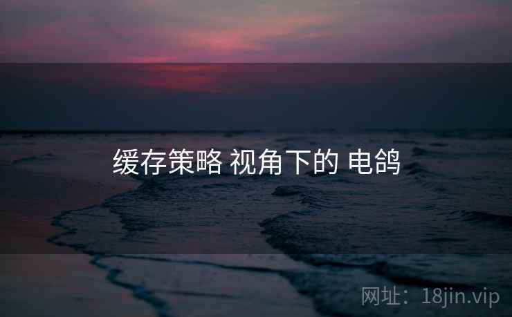 缓存策略 视角下的 电鸽