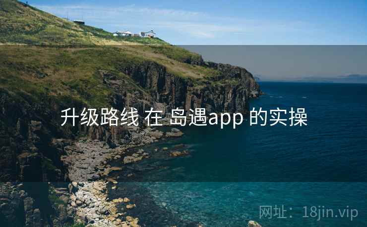 升级路线 在 岛遇app 的实操