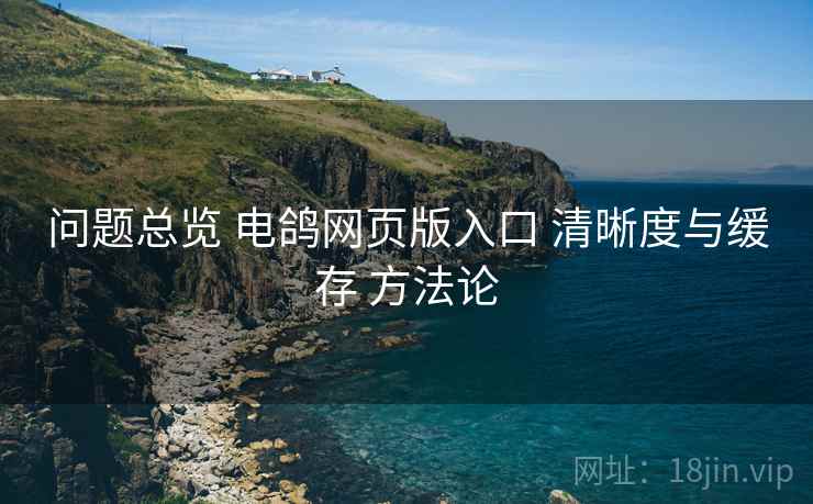 问题总览 电鸽网页版入口 清晰度与缓存 方法论