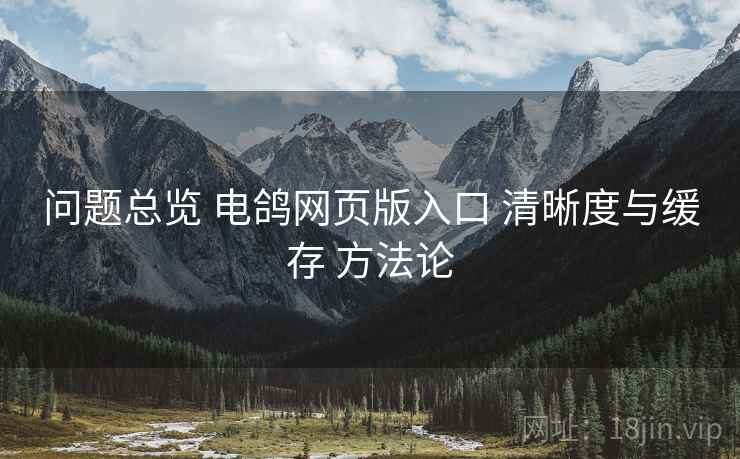 问题总览 电鸽网页版入口 清晰度与缓存 方法论