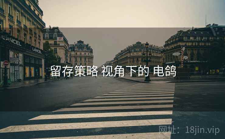 留存策略 视角下的 电鸽