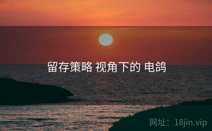 留存策略 视角下的 电鸽