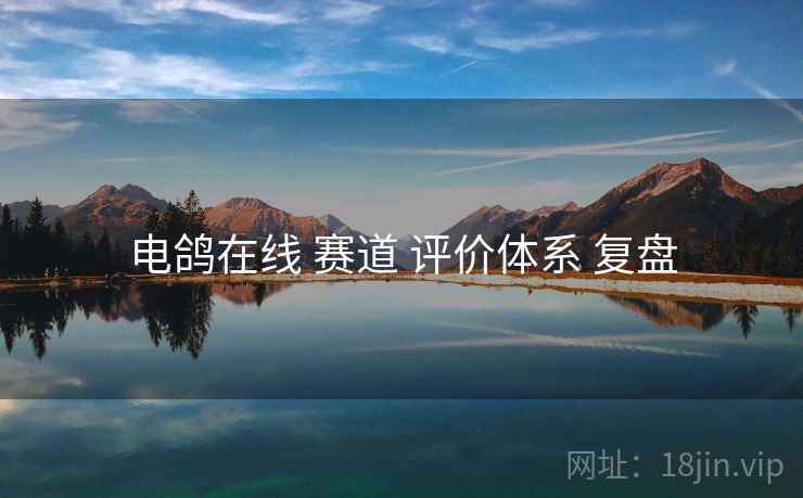 电鸽在线 赛道 评价体系 复盘