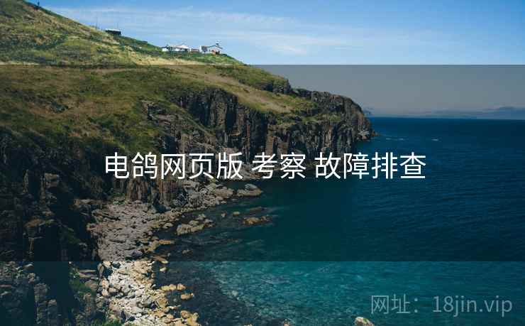 电鸽网页版 考察 故障排查
