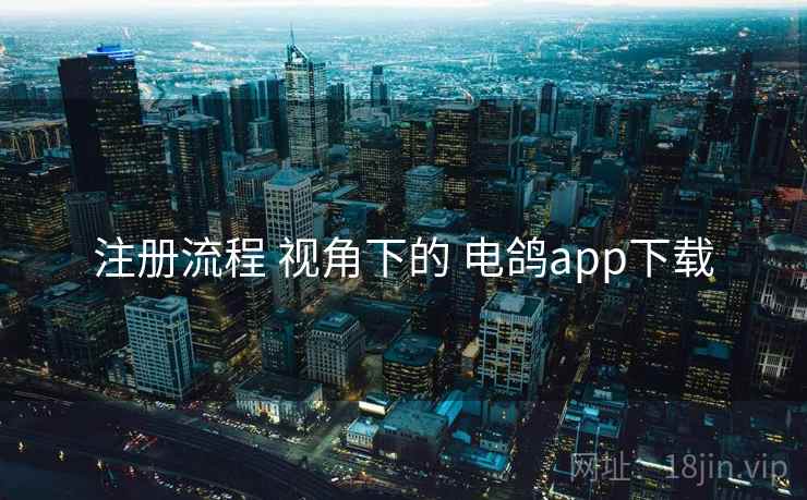 注册流程 视角下的 电鸽app下载