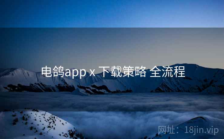 电鸽app x 下载策略 全流程