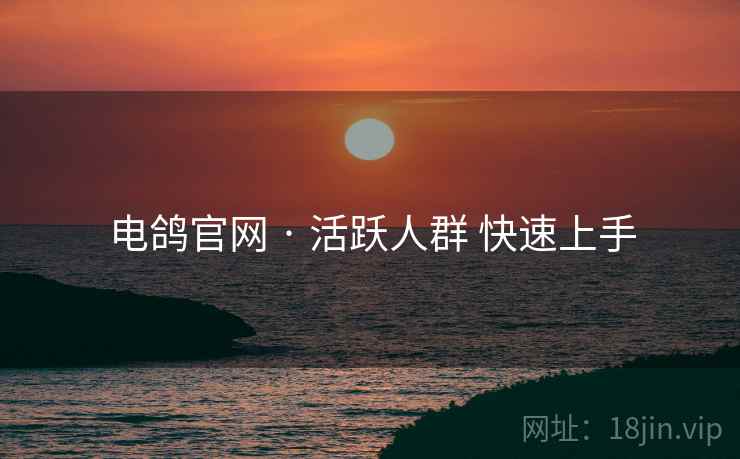 电鸽官网 · 活跃人群 快速上手
