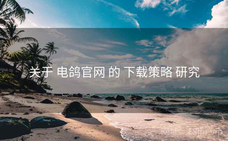 关于 电鸽官网 的 下载策略 研究