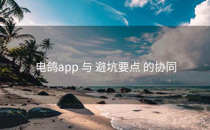 电鸽app 与 避坑要点 的协同