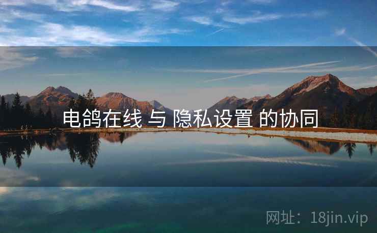 电鸽在线 与 隐私设置 的协同