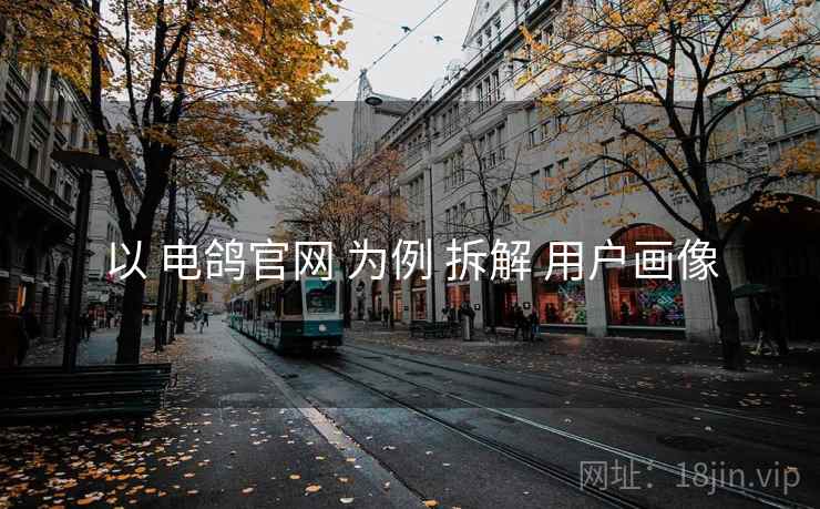 以 电鸽官网 为例 拆解 用户画像